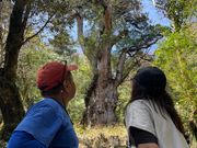 縄文杉を見上げる二人