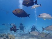 深さを忘れるくらい夢中でした。