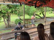 チャモロ族の住まいへ上陸