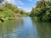 タロフォフォ川