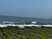 老梅緑石槽、この時期に行けてよかったです