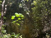 この写真の右下のあたりから洞窟に下っていきます