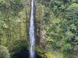 Akaka Falls 