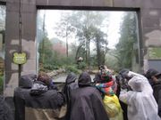 シャンシャン前