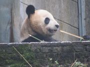 リーリーもいました（今は移動して居ません）