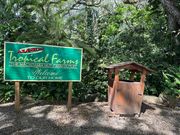 マカダミアナッツファーム