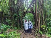 途中の木の下で