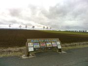 順路２）めまんべつメルヘンの丘