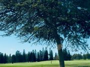 解放感‼️⛳️