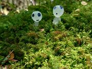 苔の中に妖精発見