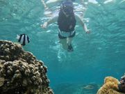 ウミガメシュノーケリング