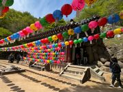 参加日はお釈迦様の誕生日(旧暦4月8日）に近かったことで提灯が飾られていました。