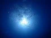 海底から見た空