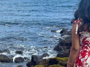 黒砂海岸、ホヌの団体さん