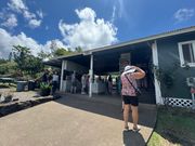 コナコーヒー農場