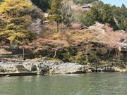 雑踏から離れ、両岸の🌸を満喫