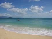 フランクランドアイランド表