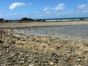 フランクランドアイランド裏