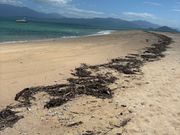 フランクランドアイランド裏