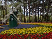 オランダの風車もあります。