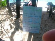 島内のスケジュール