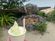 ジェラートは、泡盛とうこん🍧