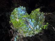 晴天ありがとうございます