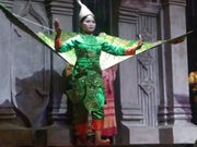 クジャクの踊り