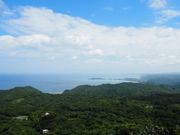 やんばるの森と海を見渡せます