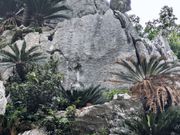 大石林山
コースが選べる　岩がすごい
ネコやドラゴンに見える岩
林道を登ると景色が素晴らしい