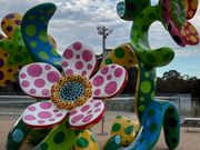 NSW州立美術館（Art Gallery of NSW）新館にある草間彌生さんの作品