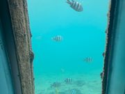 このような窓がいくつもあります。