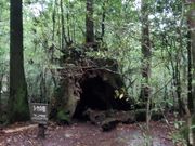 シカの宿（名前を公募したそうです）