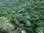 滝上から滝壺を見下ろした景色