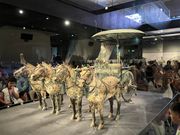 近くで見れました