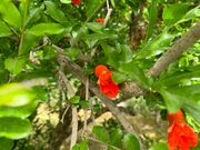 その地域の自然と歴史がつながりました