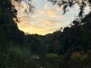 カモノハシもみれました！