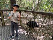 絶滅が危惧されるカソワリに会えて貴重な経験ができました。