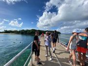 船着き場の渡し通路からグリーン島を望む