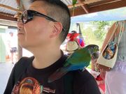 キュランダ村のバードサンクチュアリ