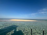 誰もいない百合が浜を！