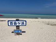 写真では伝わらない青があります