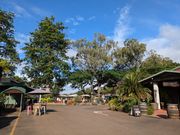 お酒試飲の場所