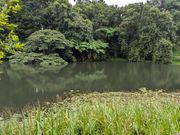 カモノハシパーク