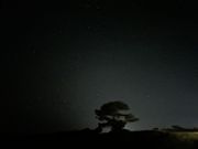 南の空（南十字星の方）