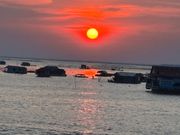 線香花火を彷彿させる夕陽