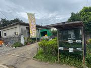 教えてくれた、パイナップル屋さん