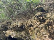 ブリーチすると真っ白になる