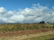 帰りの車内で虹が見れました！