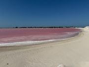 遠目にフラミンゴもみえました。とても良いタイミングでした。